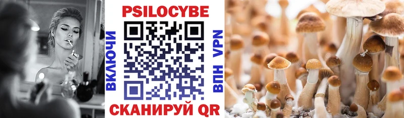 Псилоцибиновые грибы GOLDEN TEACHER  Шацк 